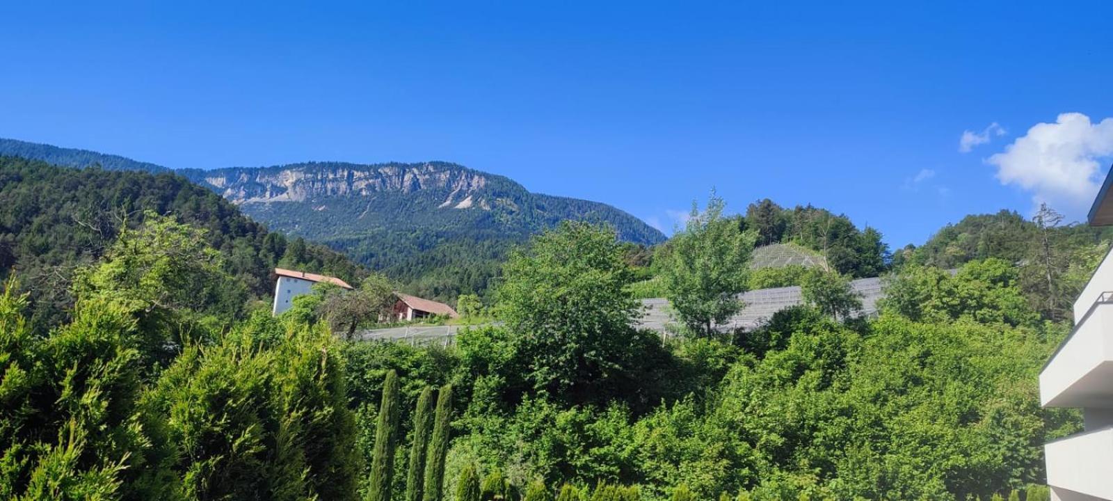 Janas Bolzano Mountain Apartment Tesimo Εξωτερικό φωτογραφία